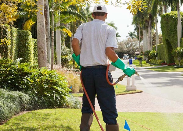 About Seneca PA Pest Control Pros